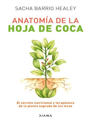 cover image of Anatomy of the Coca Leaf